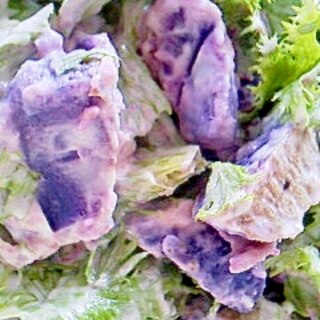 紫芋とわさび菜のサラダ
